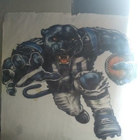 Meet your Posher, Tommy - Picture 1 of 1